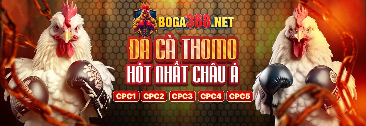 Đá Gà Trực Tuyến K8VN Nổ Hũ